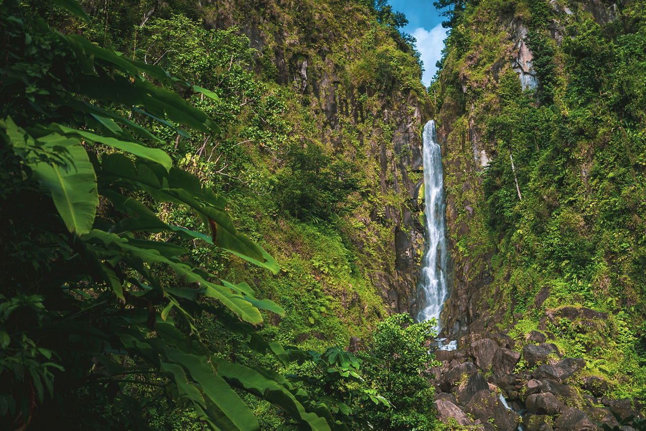 Emerald Waterfall in the Tropical Green Rainforest, Dominica, The Caribbean.