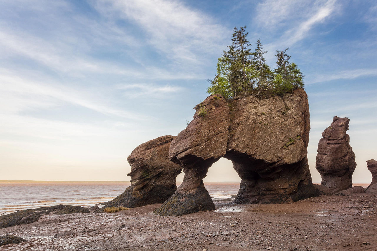 The Hopewell Rocks, Saint John, New Brunswick