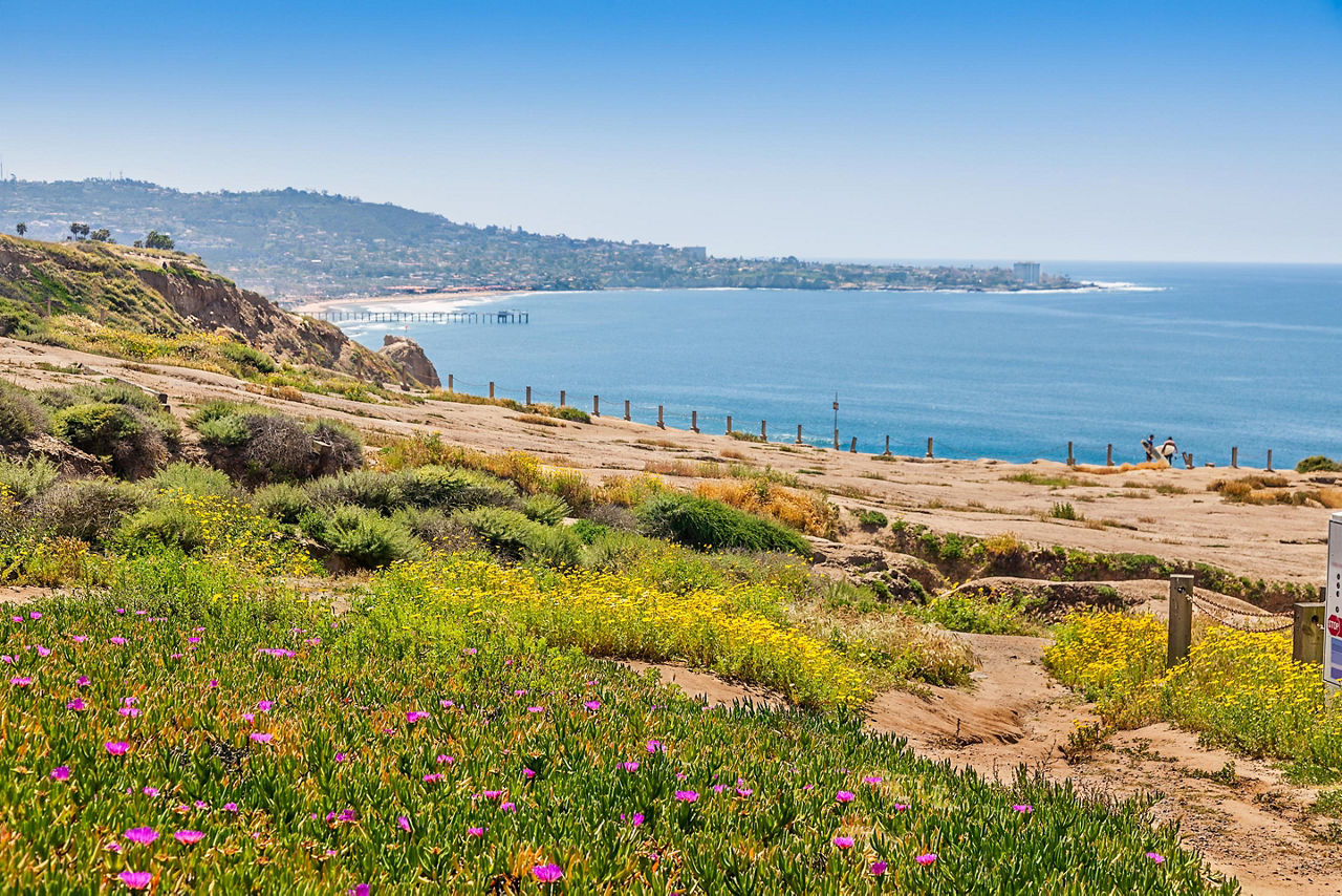 San Diego, California Sandstone Cliffs