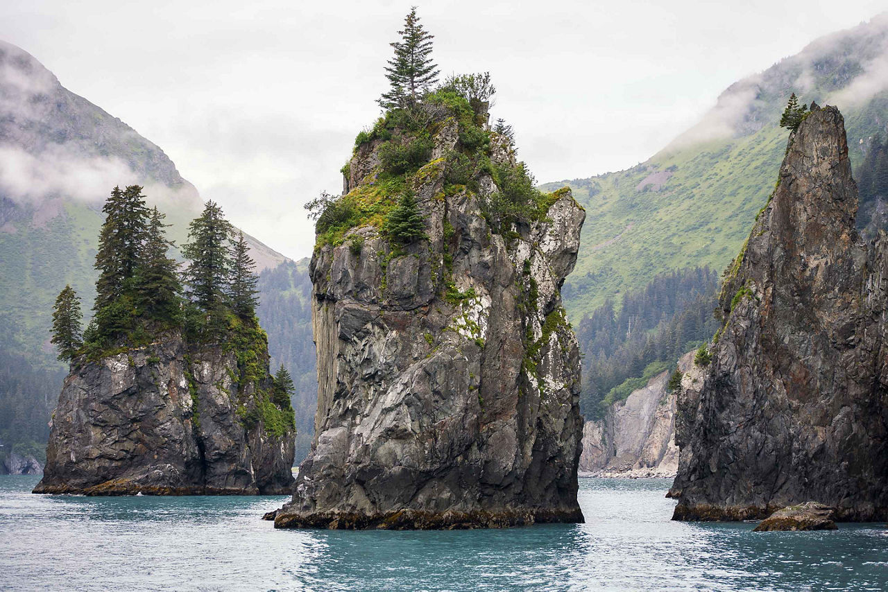 Resurrection Bay Kayaking Nature Mountains Ocean, Seward, Alaska 