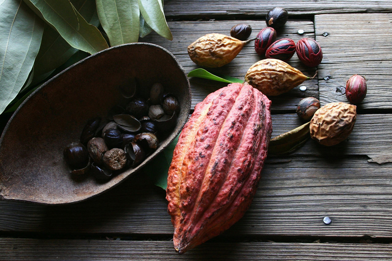 Nutmeg Farm Fruit Plants, St. George's, Grenada