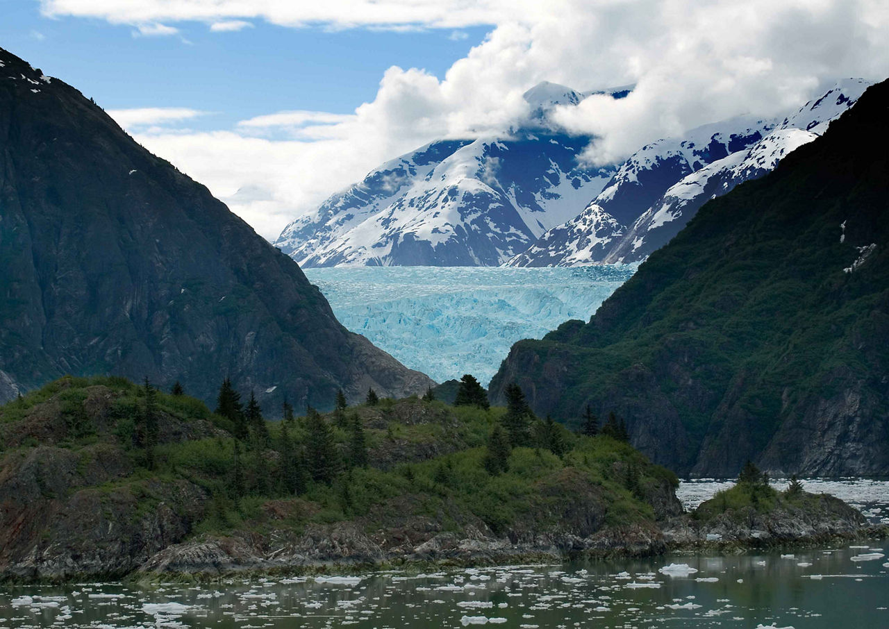 Twin Sawyer Glaciers Tidewater, Tracy Arm Fjord, Alaska