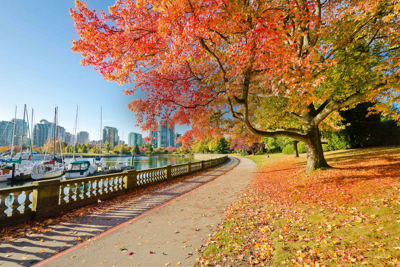 Vancouver British Columbia Stanley Park 