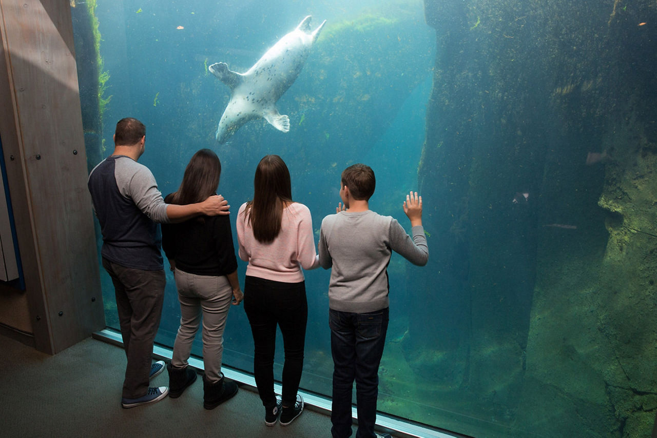 Alaska Seward Aquarium Cruise Tours