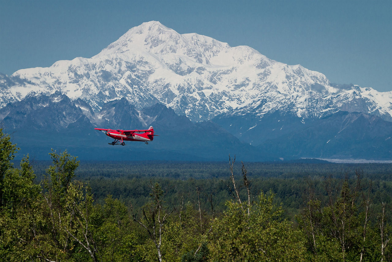 Alaska Talkeetna Glacier Cruise Tour