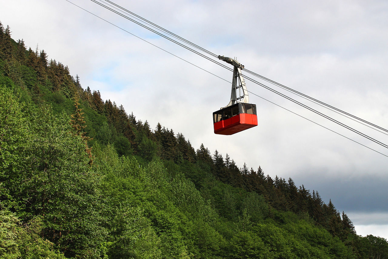 Mount Roberts Tramway above the forest, Juneau, Alaska