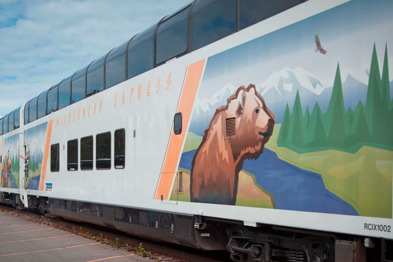 alaska cruise tours train