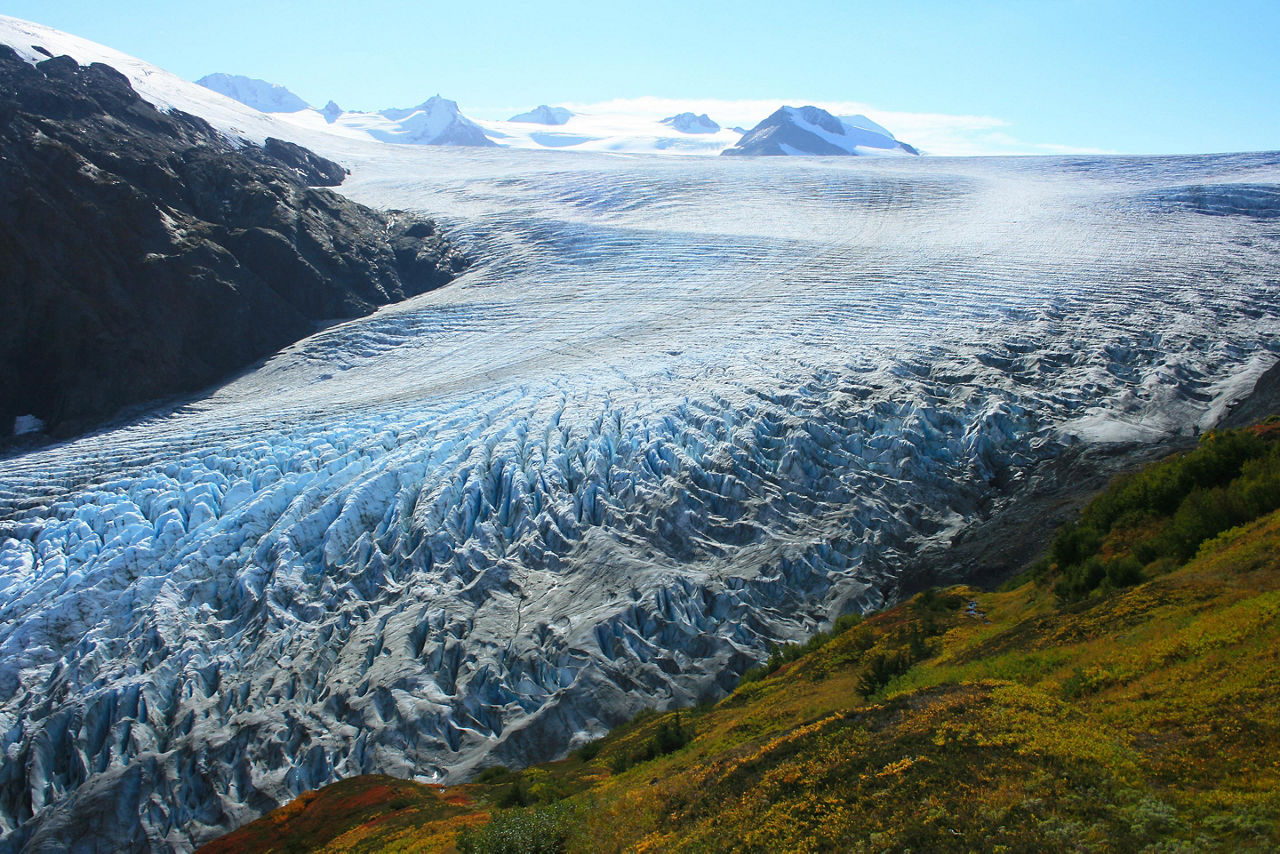 Alaska, Kenai Fjords National Park 