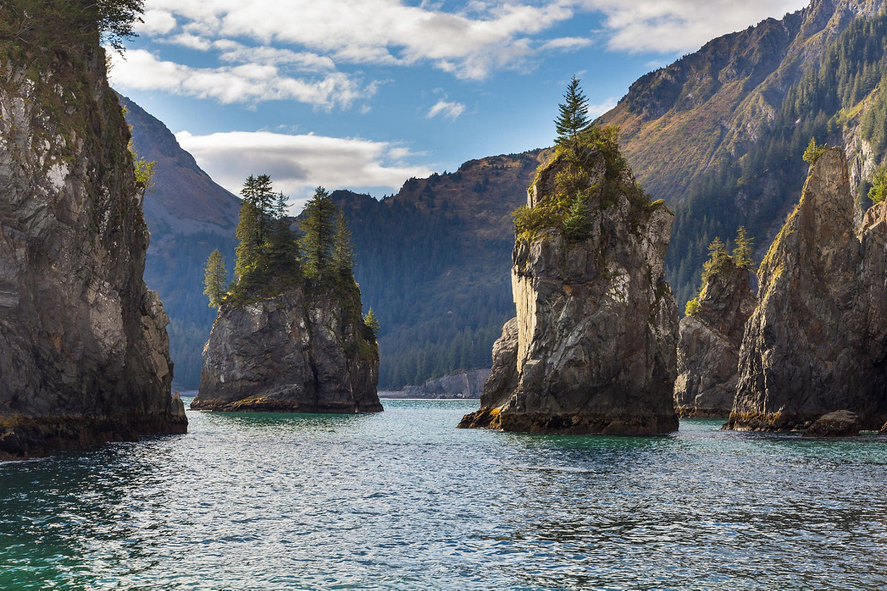 Alaska, Spire Cove Kenai Fjords National Park 