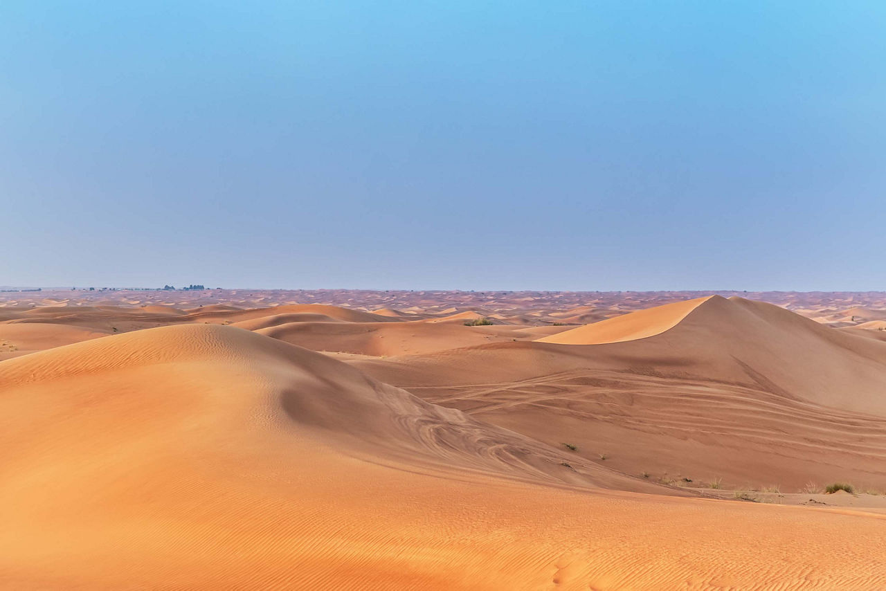 Sand Dunes in the Desert