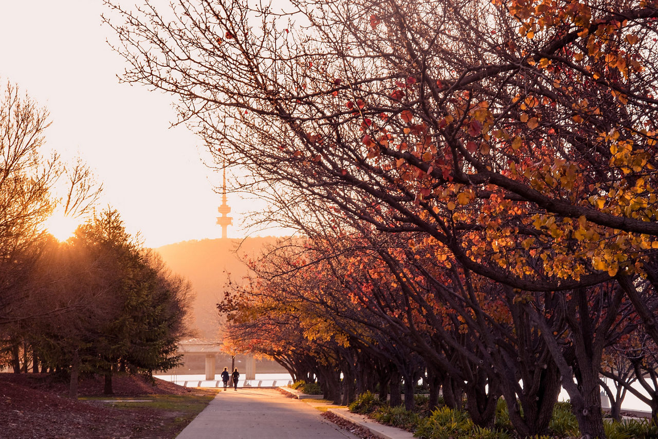 Sun setting over the Queen Elizabeth Terrace. Australia