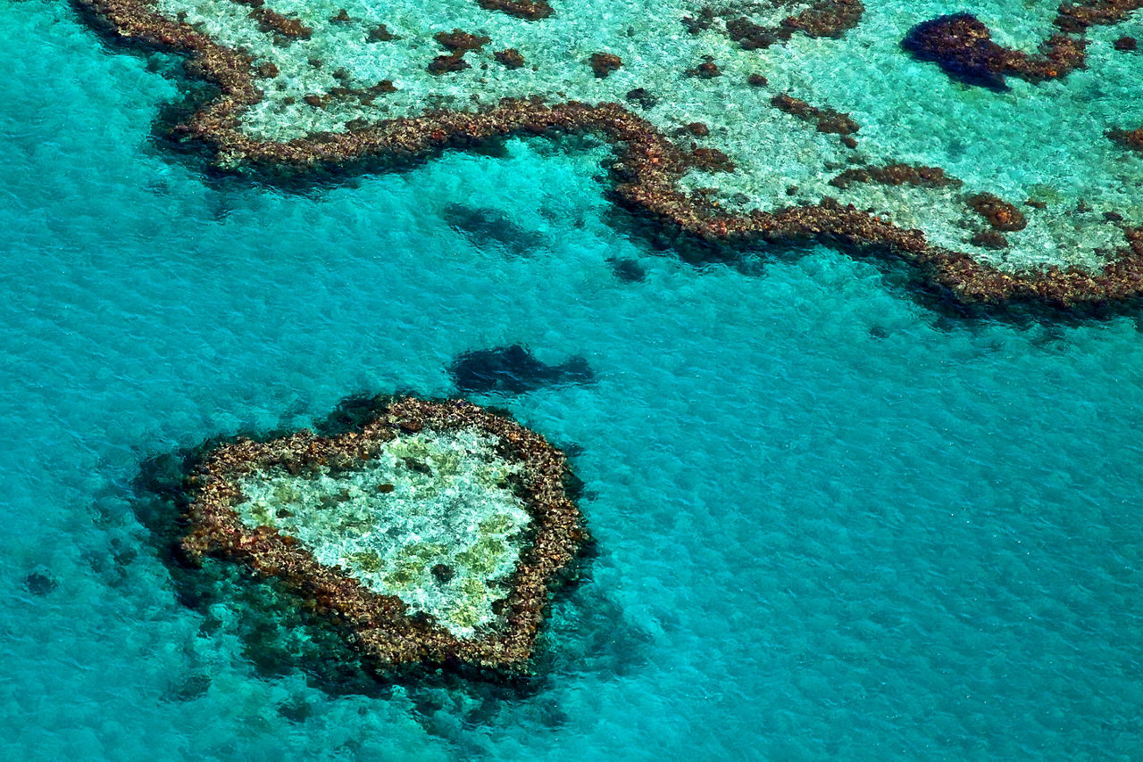 Aerial view of heart reef on a Great Barrier vacation. Australia