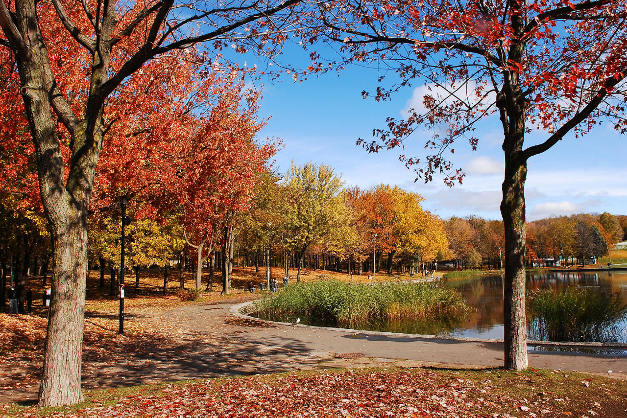 Canada Montreal Frederick Law Olmsted Fall