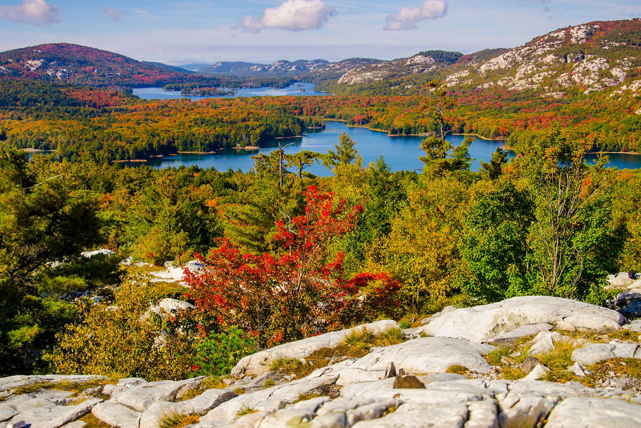 Ontario Canada Killarney Fall Foliage