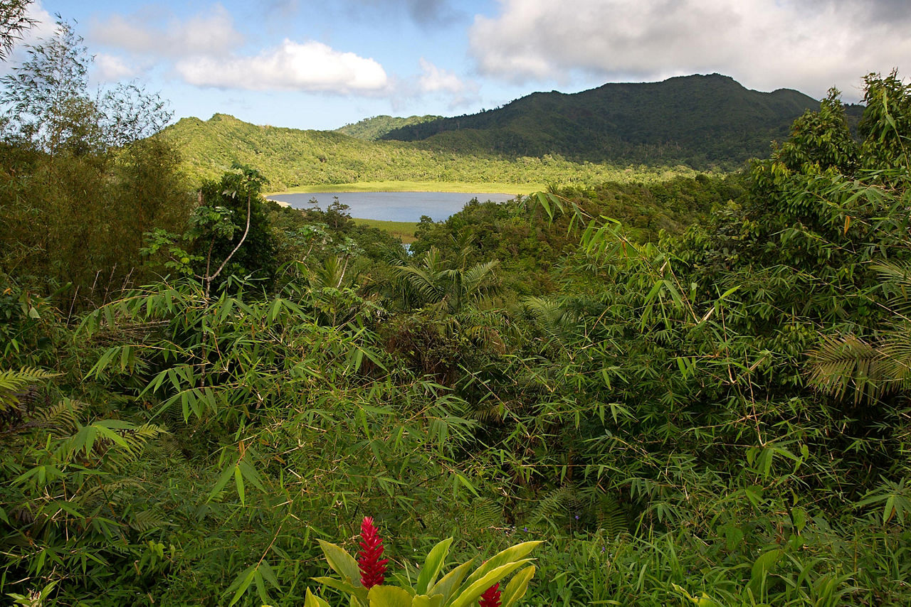 Grenada, Grand Etang Lake 