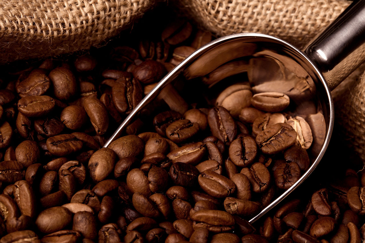 Eastern Caribbean Coffee Beans Fresh 