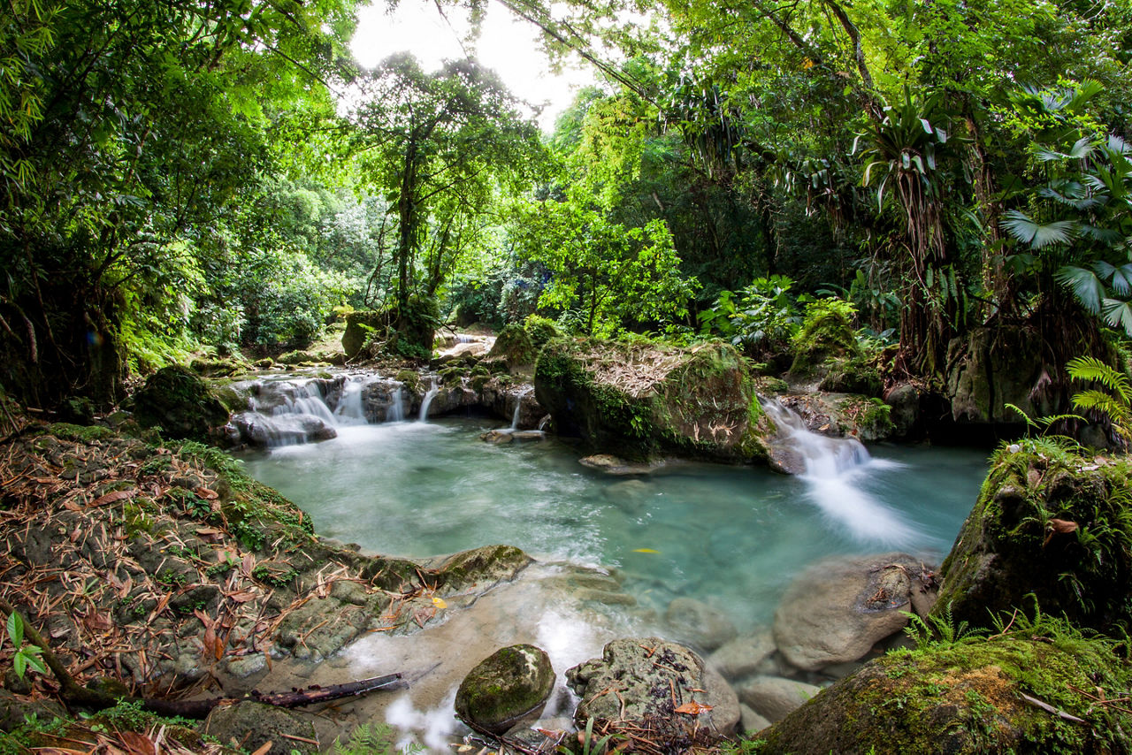 Waterfall streams in a botanical garden., Jamaica