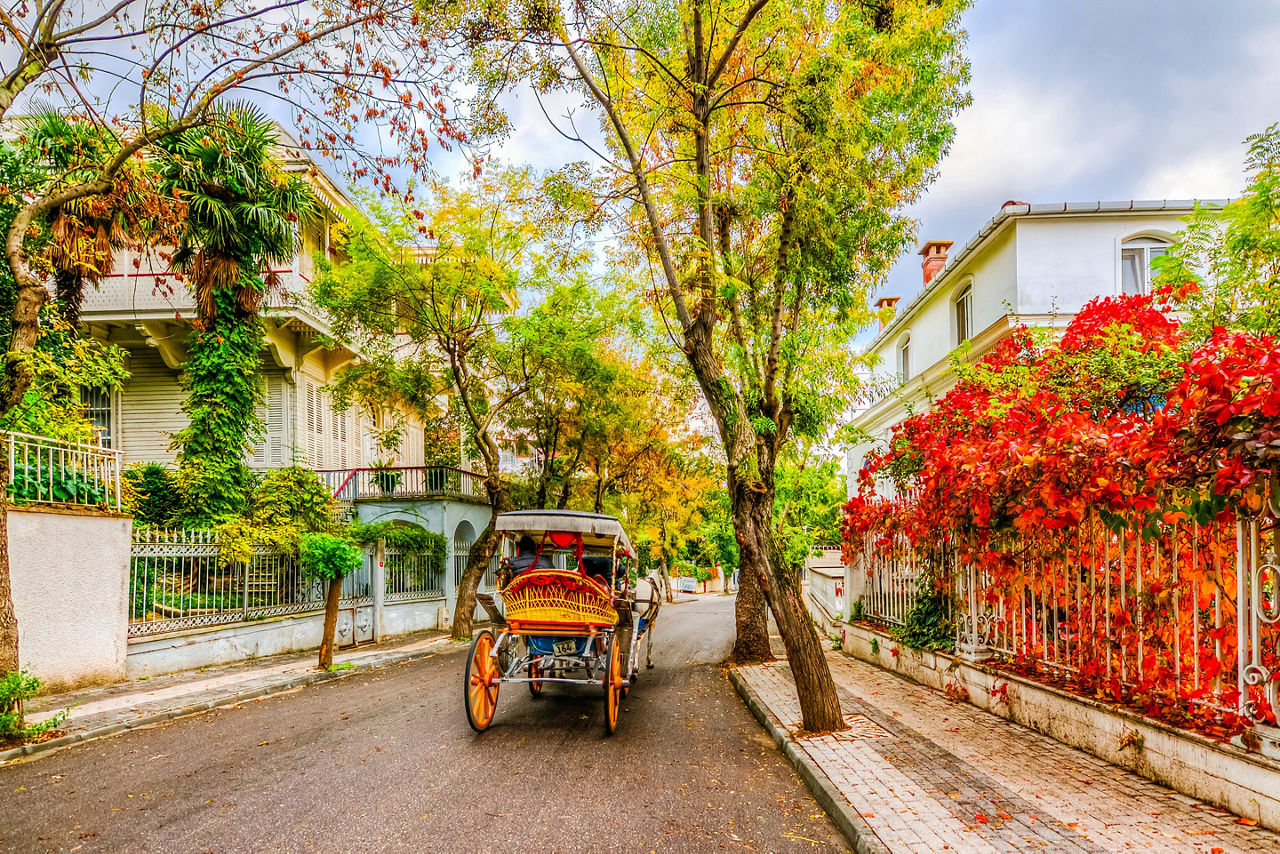 Turkey Buyukada Victorian Street Historic Island