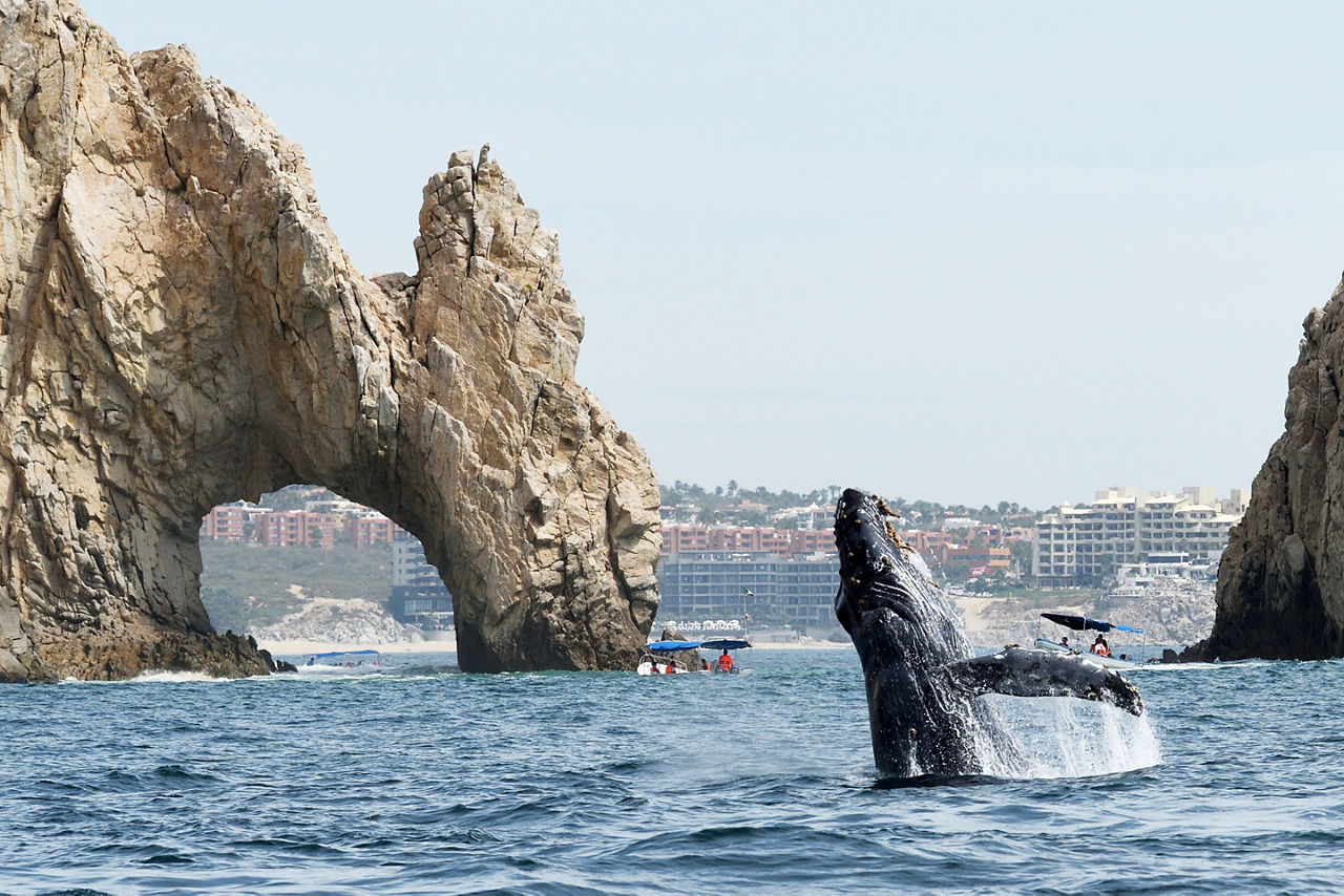 Whale watching on vacation in Cabo near the Arch. Mexico.