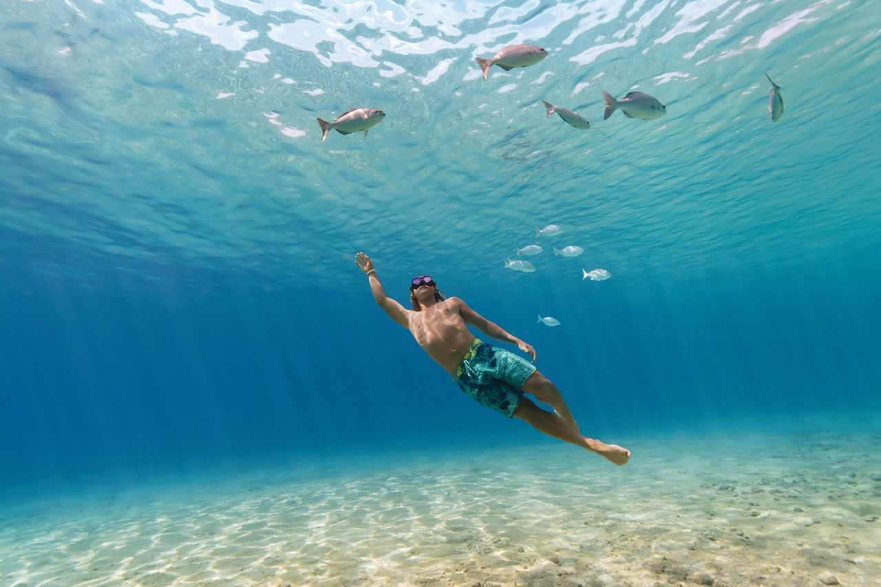 Mexico Cozumel Boy Snorkeling with Fish