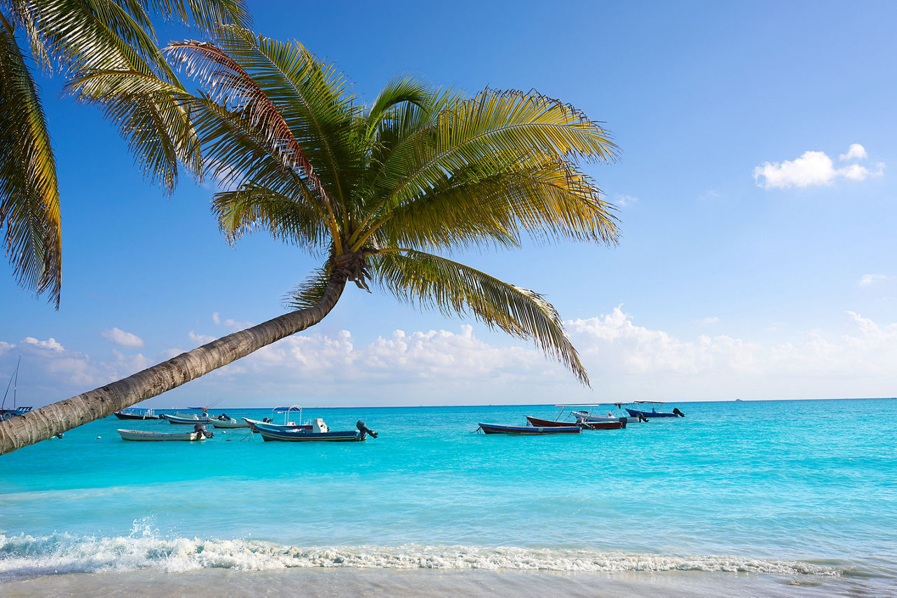 Palm trees and boats at Playa del Carmen beach. Riviera Maya.