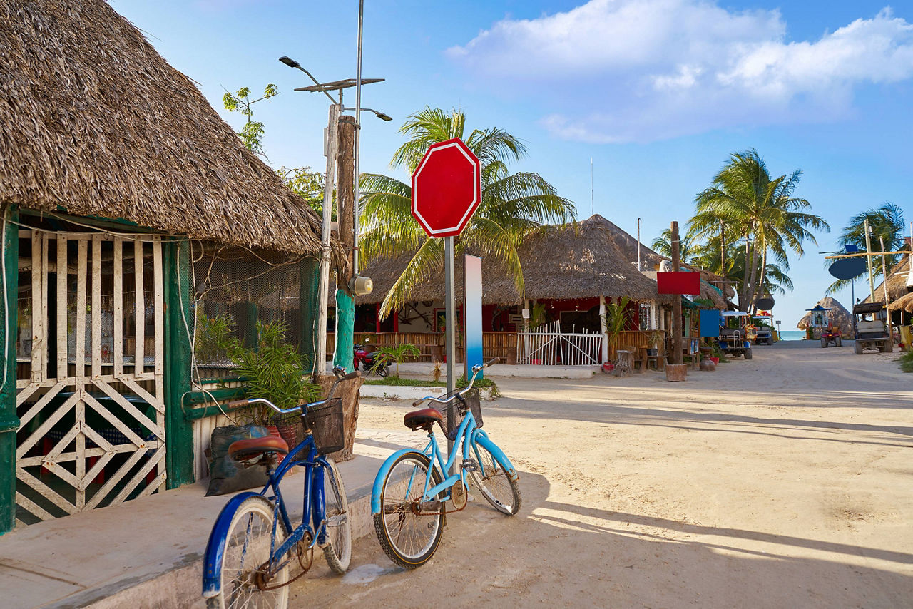 Traveling for Whale Shark Swimming in Isla Holbox, Mexico