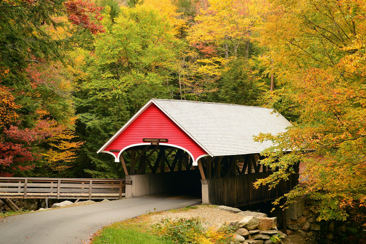 Franconia Notch Bridge Fall