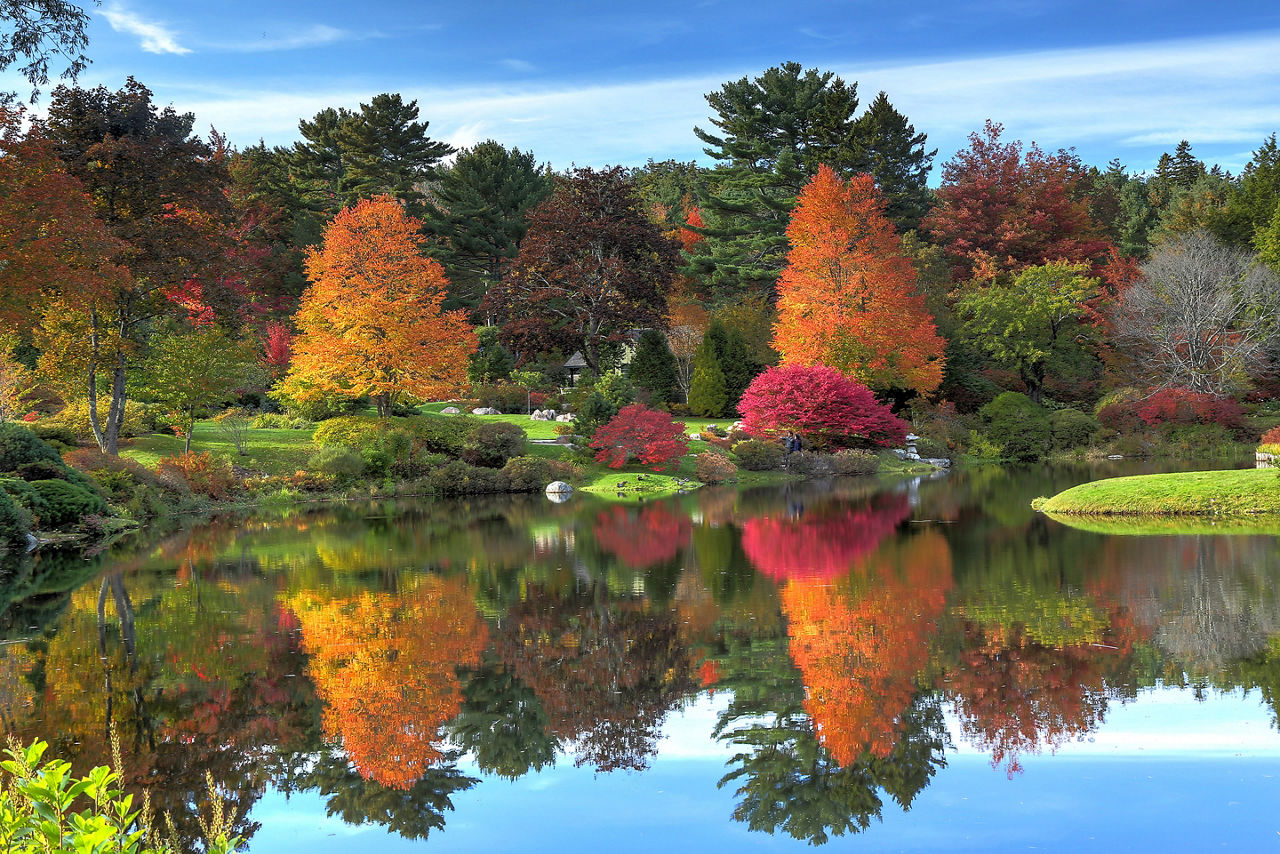 Maine Bar harbor Acadia Park Fall Trees