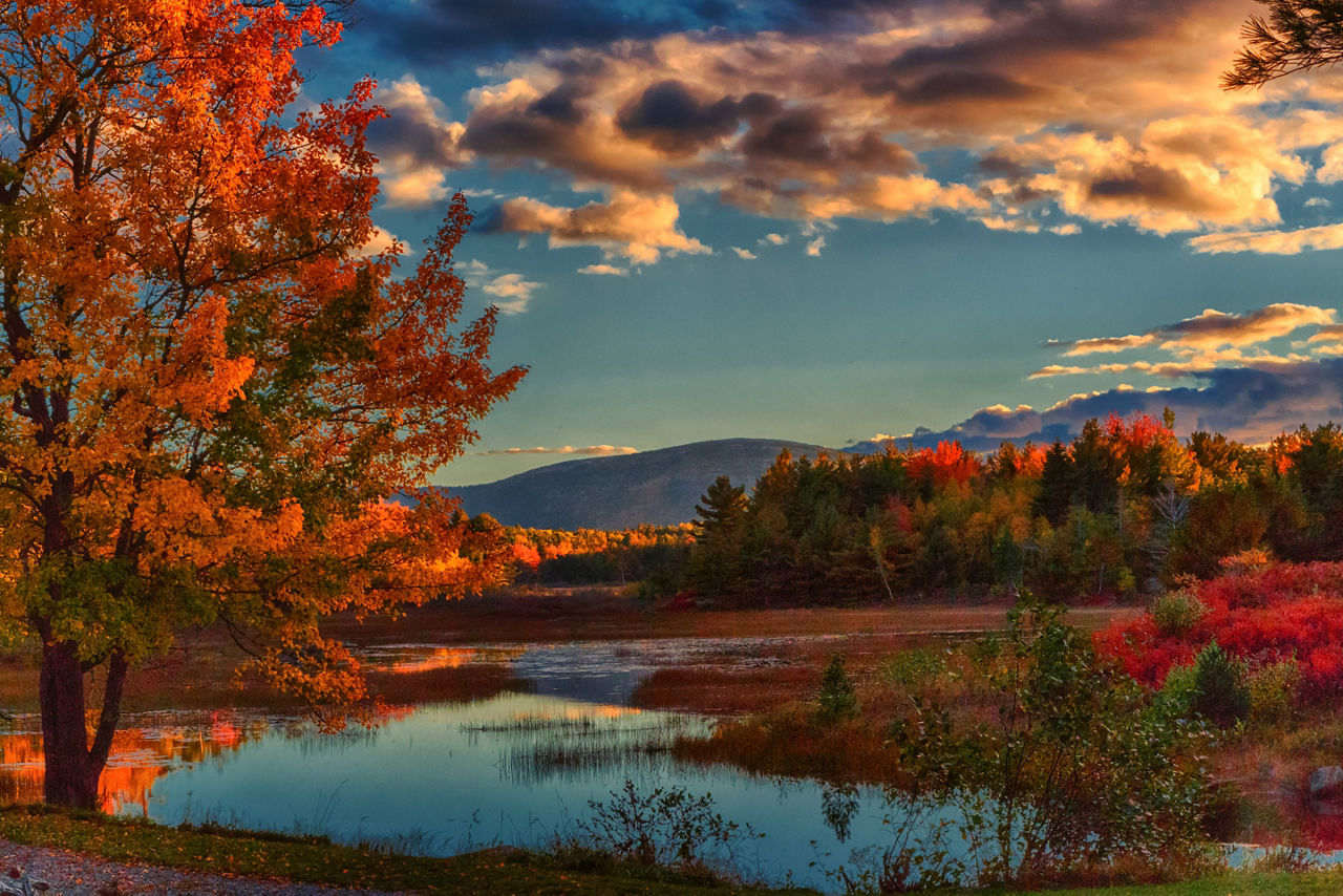 Maine Bar Harbor Fall Lake Mountain