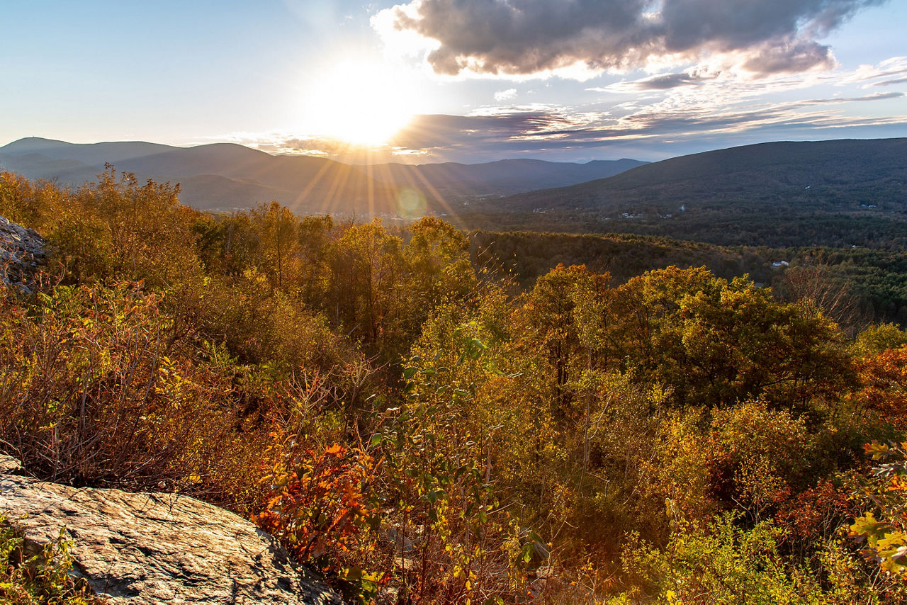 Massachusetts The Berkshires Mountain Trees