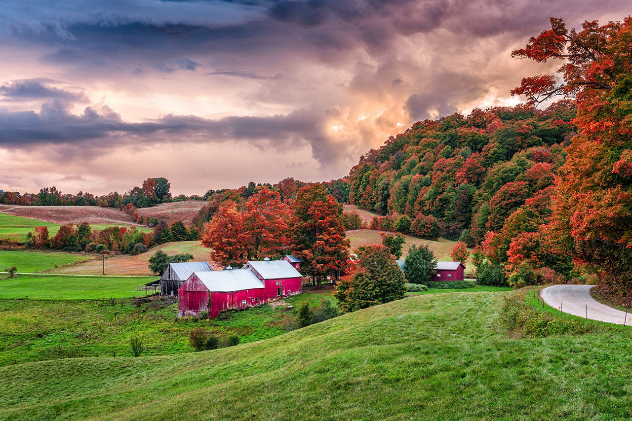 New England Woodstock Jenne Farm