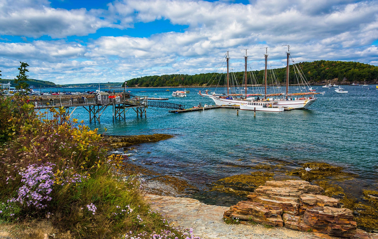 Pier with Boats in the Northeast U.S.