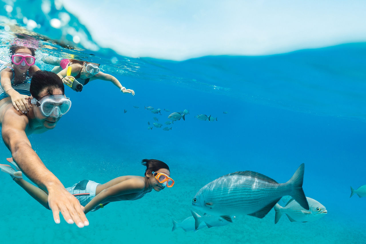 Family Snorkel Fish Underwater Perfect Day at CocoCay