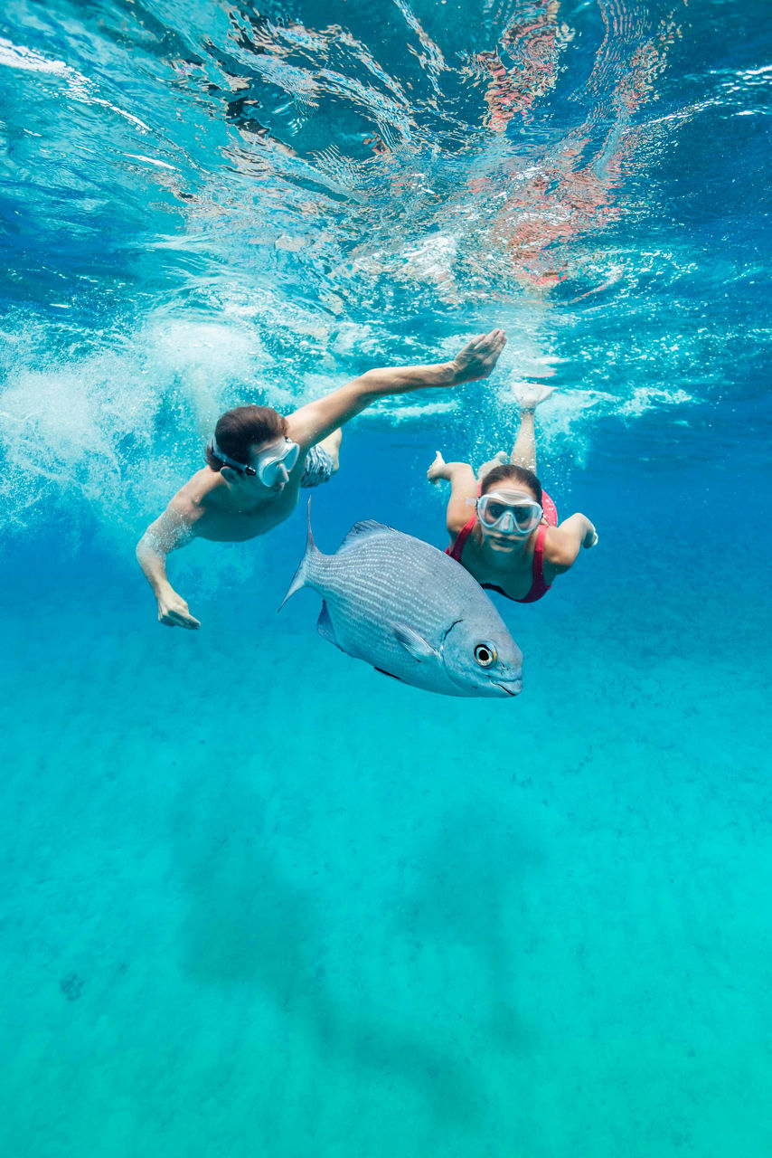 Perfect Day Island CocoCay Bahamas Snorkeling Couple