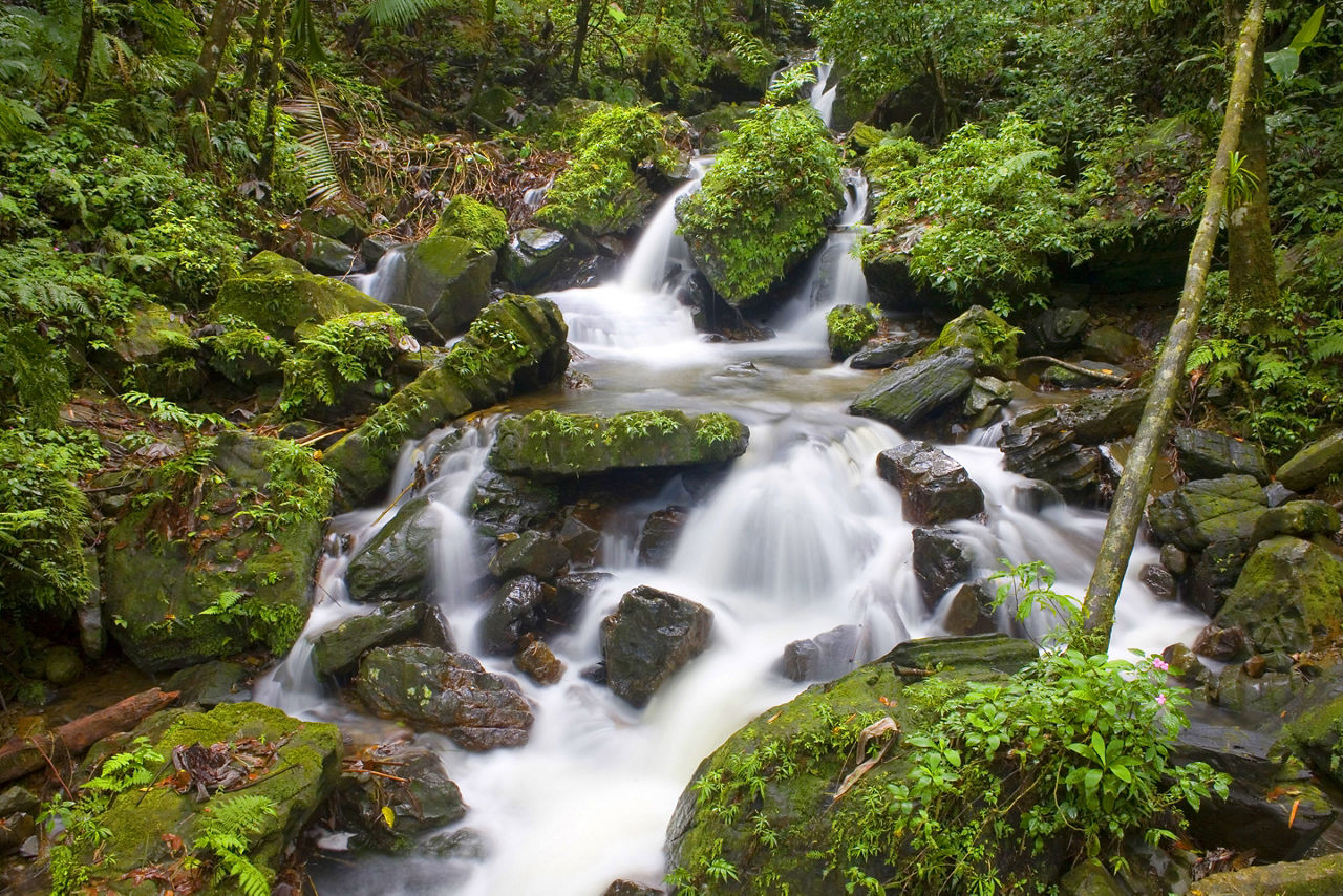 Puerto Rico El Yunque Waterfall