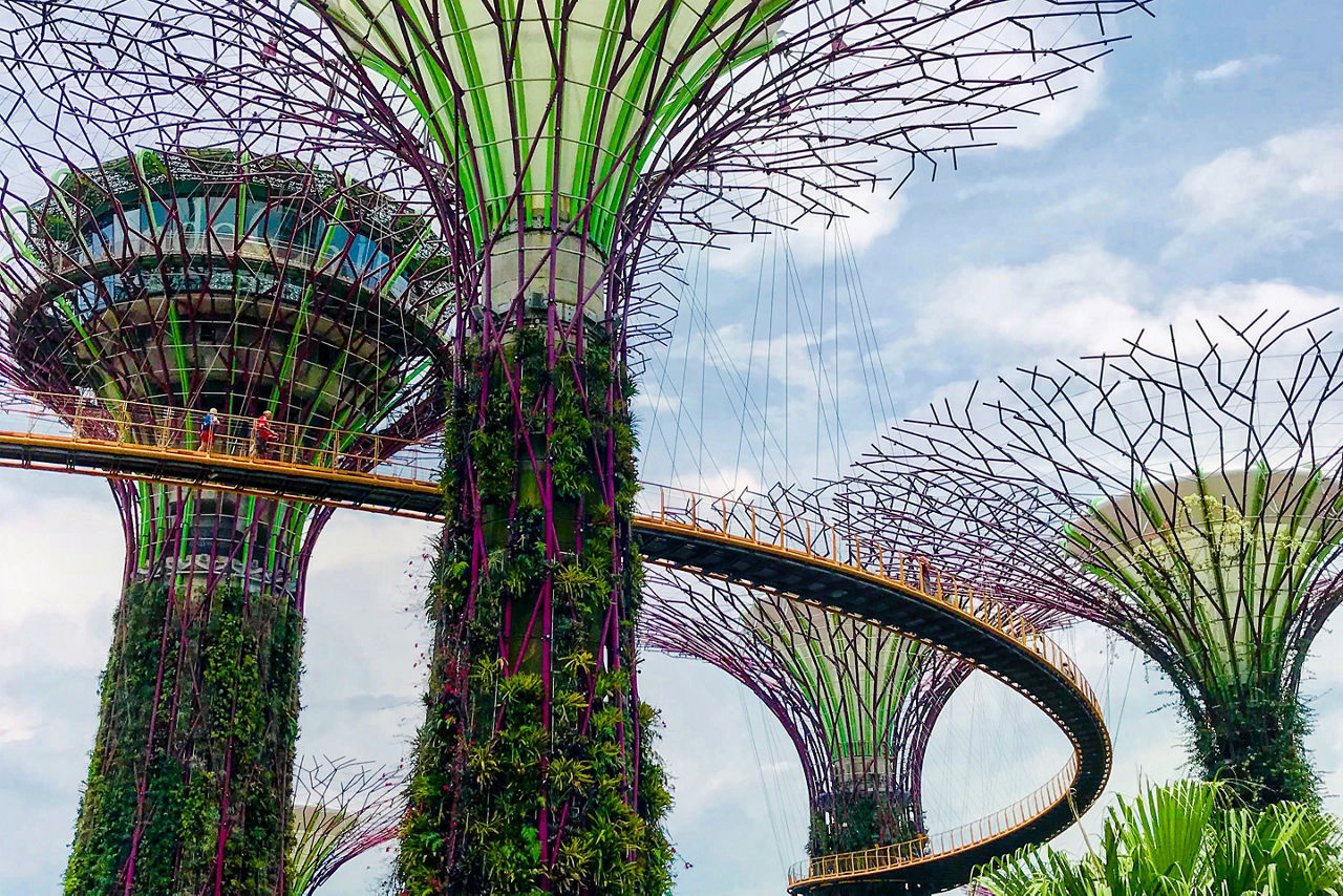 Singapore Super Trees