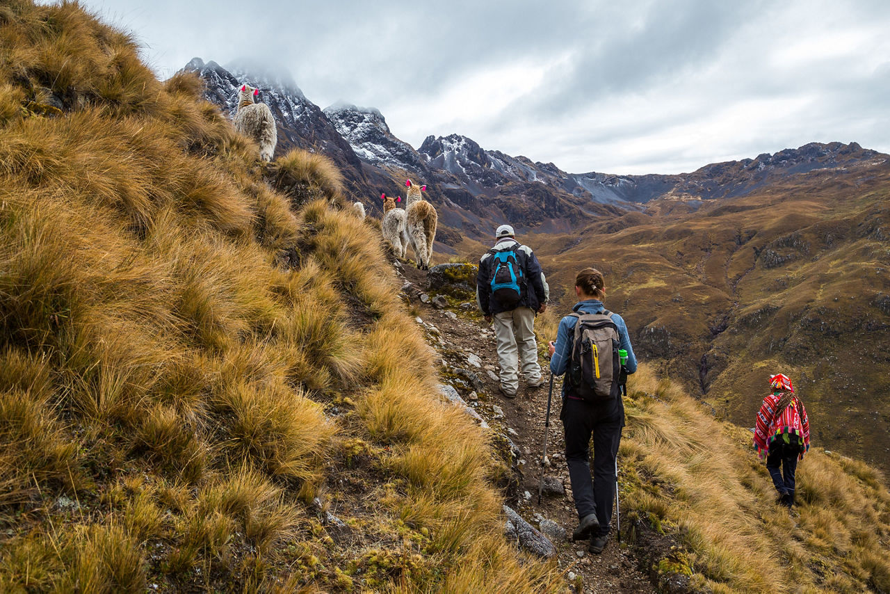 Machu Picchu trip while Hiking with llamas the Andes