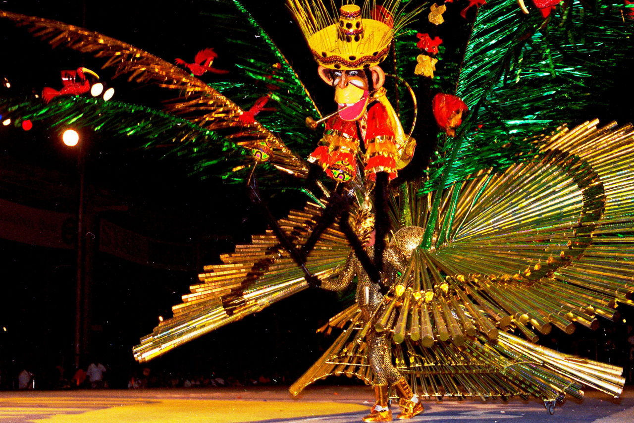 Soul of Calypso Dancing during Carnival in Trinidad, Caribbean