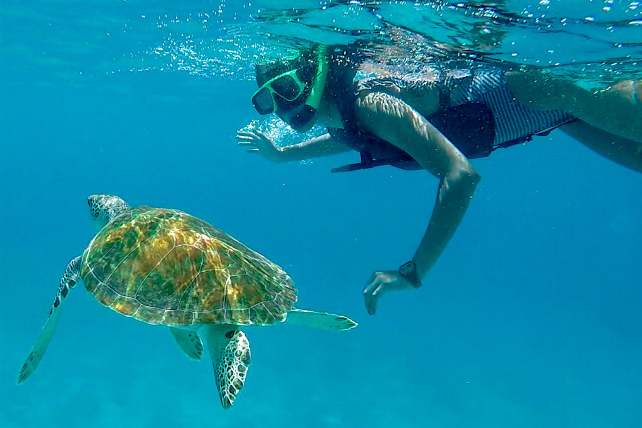 St. Thomas Girl Snorkling