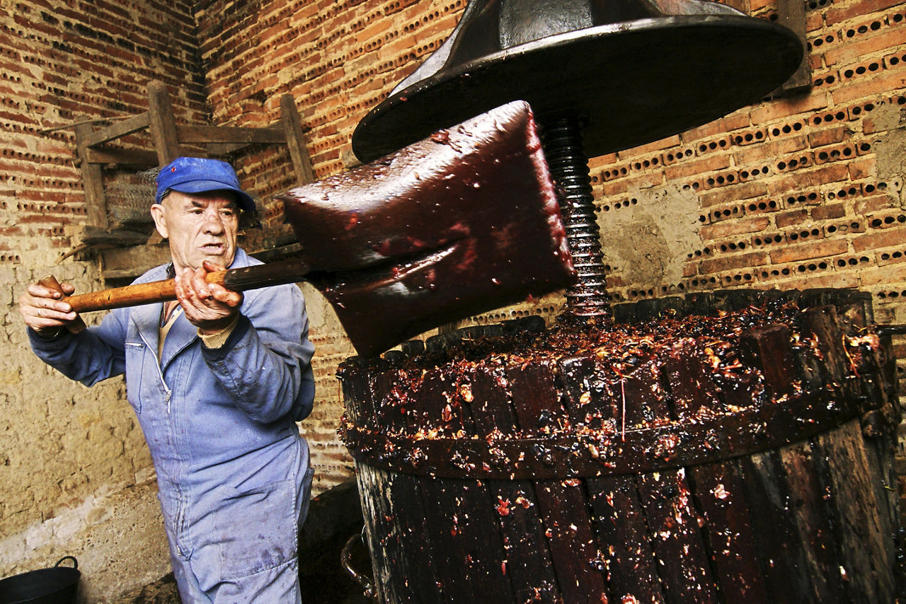 Farmers Making Wine of Grape