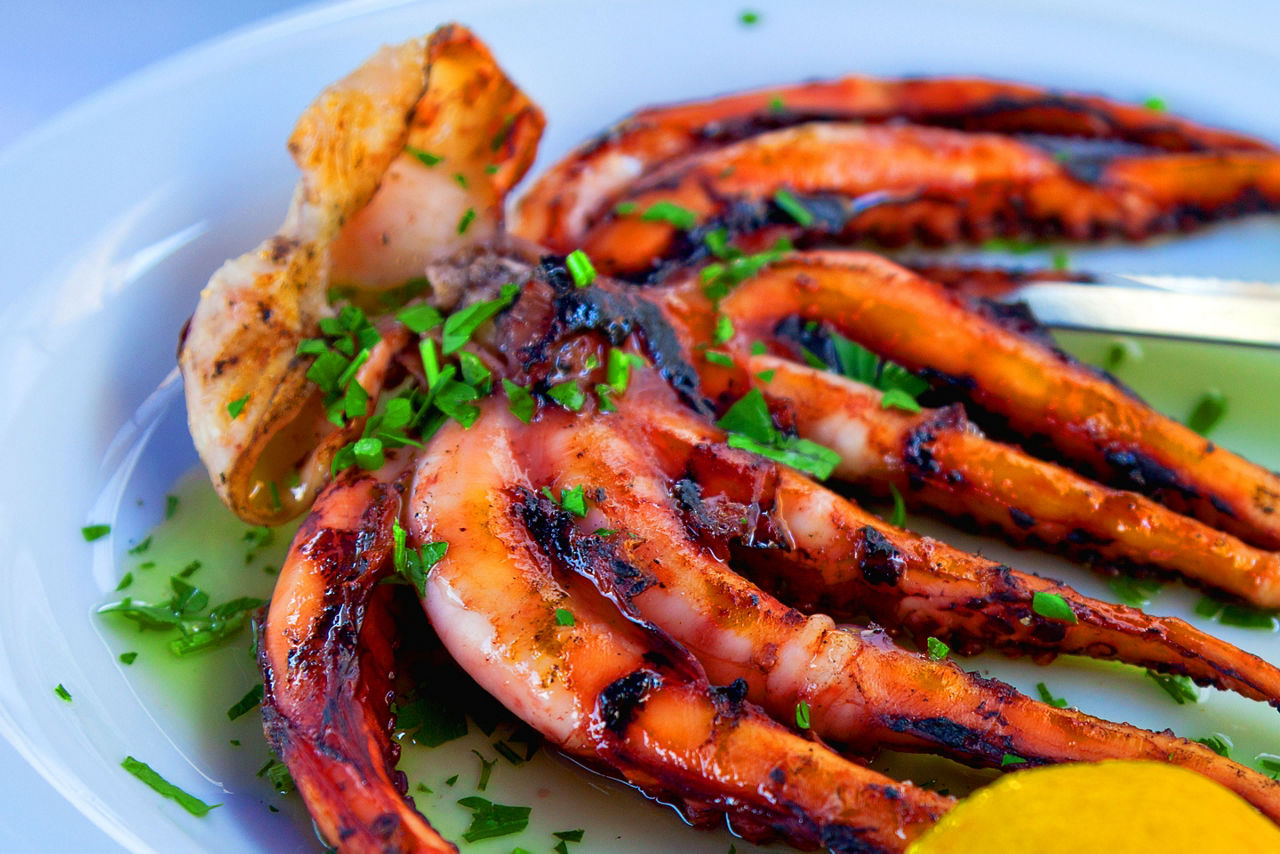A plate of grilled octopus