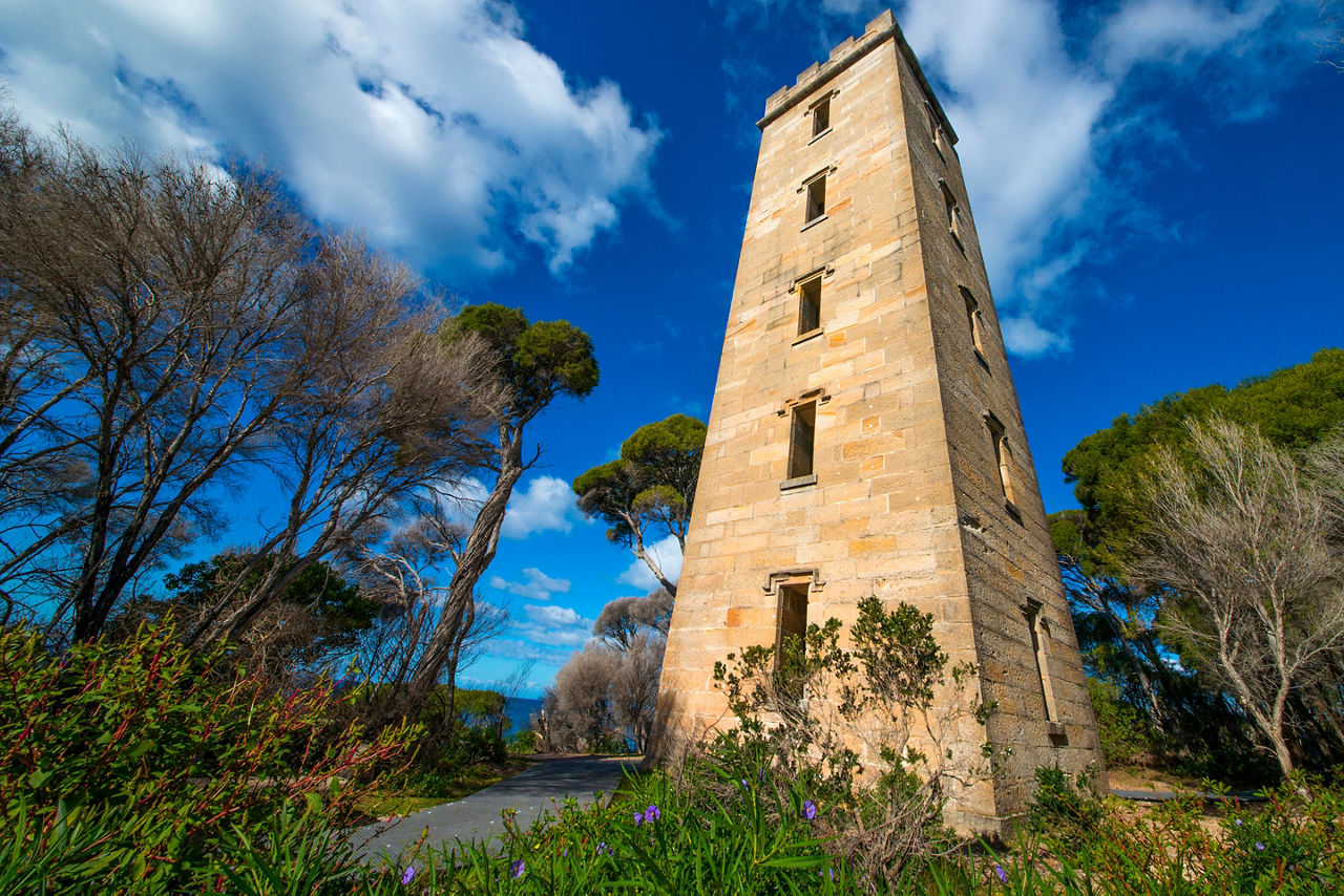 Eden Australia Boyd Tower Close-Up