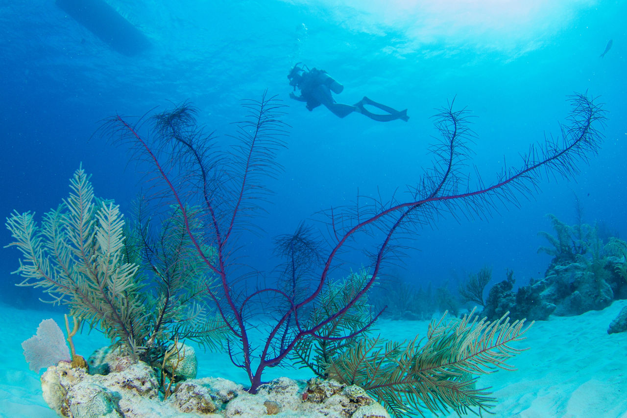 Grand Turk is a small Island separated by more than 20 miles from the rest of Turks and Caicos.