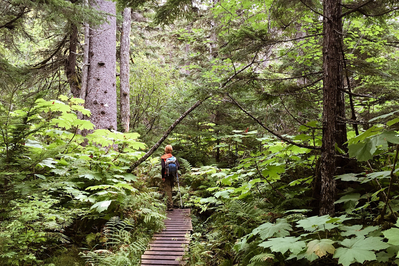 Active Young Boy Hiking Haines Alaska