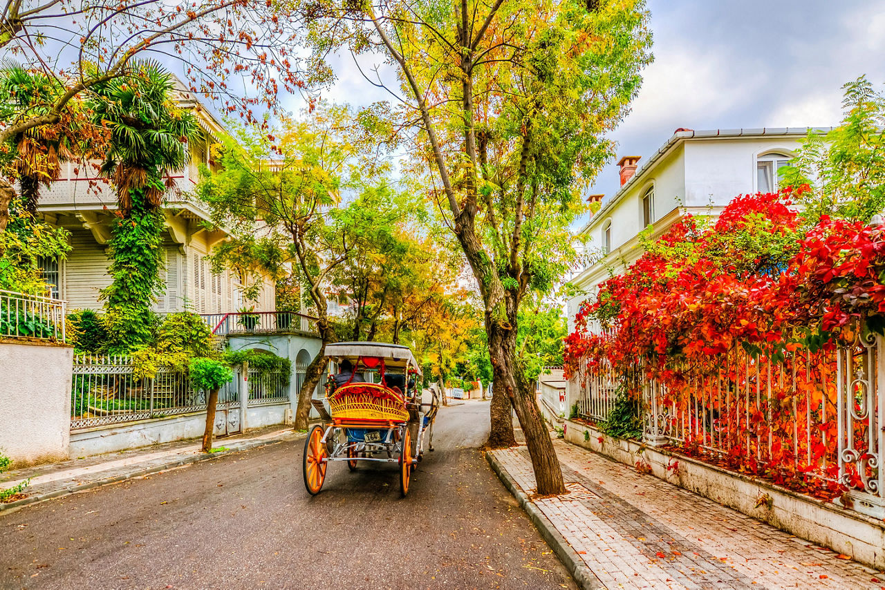 Turkey Prince's Island's Historic Neighborhood