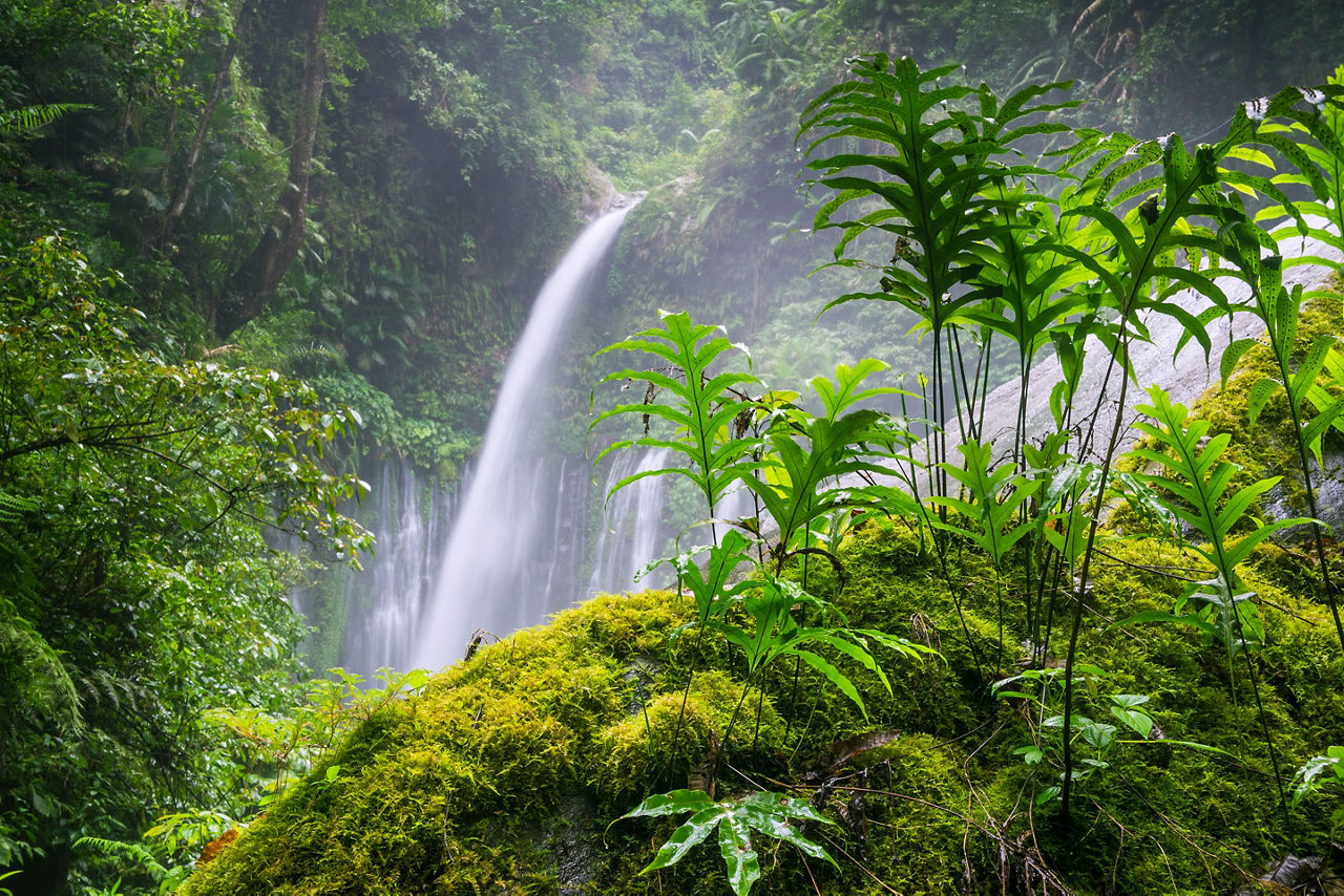 Air Terjun Tiu Kelep waterfall near Rinjani, Senaru, Lombok, Indonesia, Southeast Asia