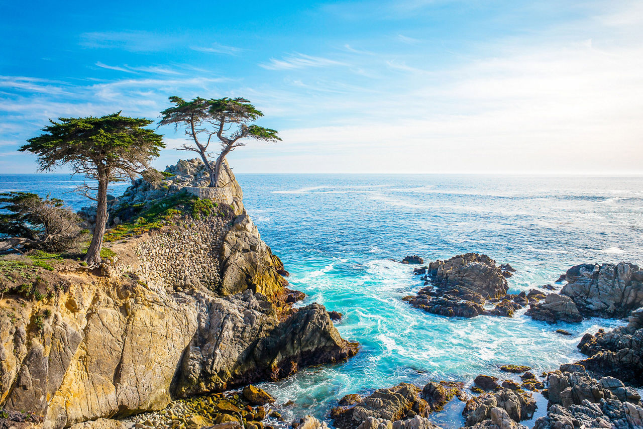 The Lone Cypress, seen from the 17 Mile Drive, in Pebble Beach, California.