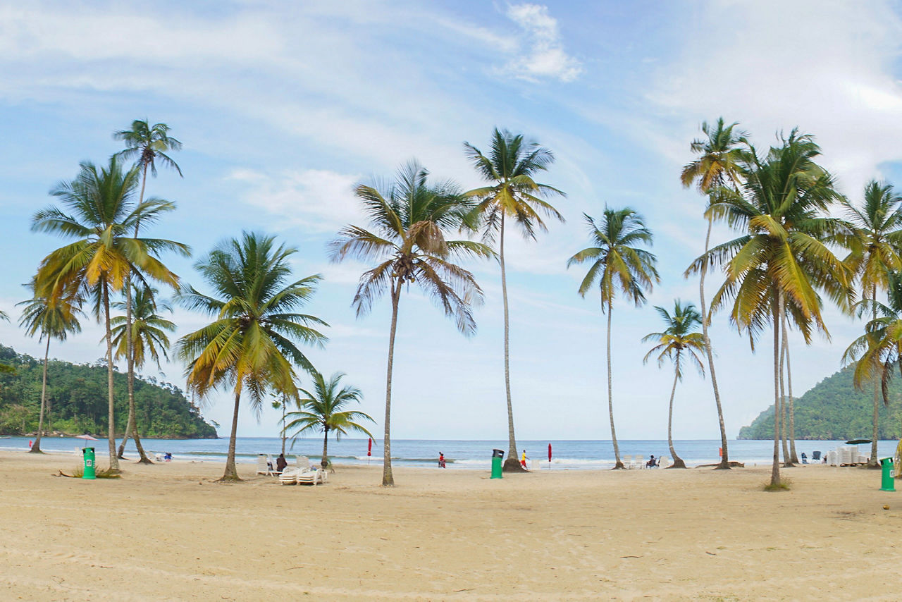 Ocean and Palm Trees at Maracas Beach in Trinidad and Tobago