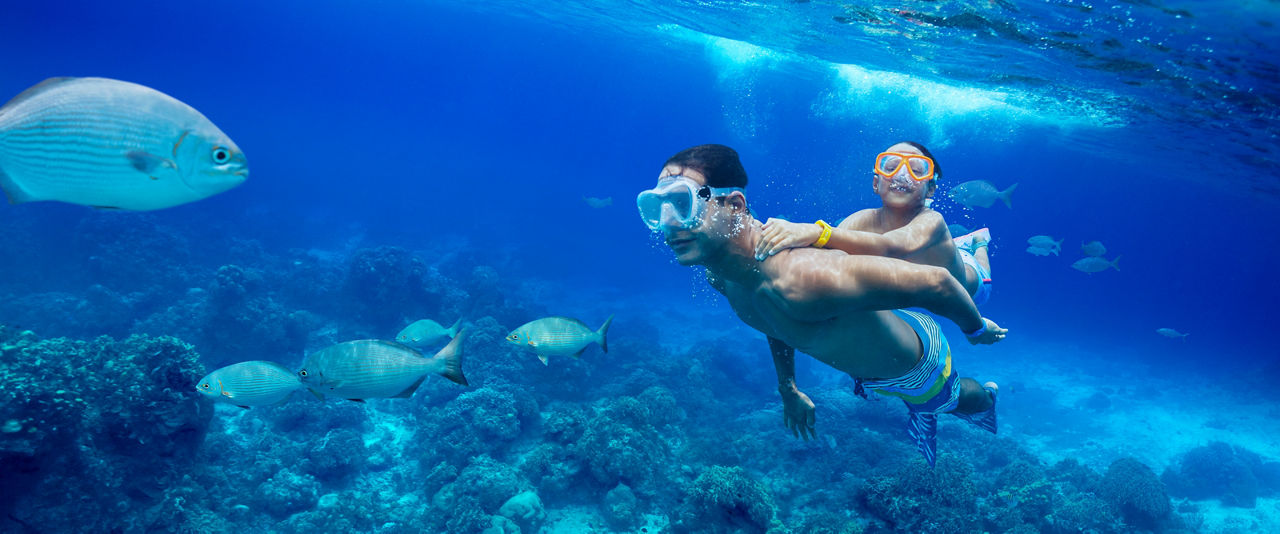 Family Snorkeling with fish Dsktp Standard 1920 800