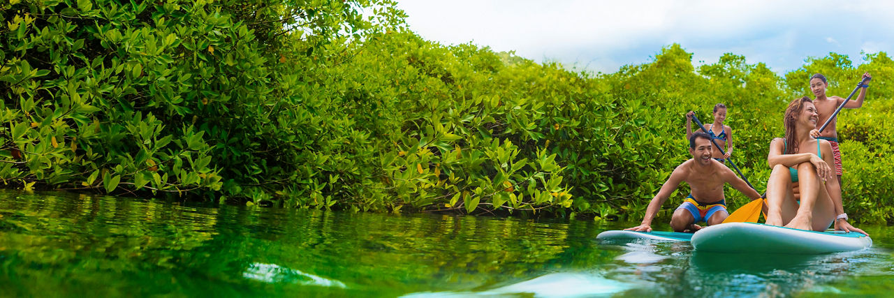 Family Paddle Boarding on Vacation Billboard 1560 520 FAM NF 2x